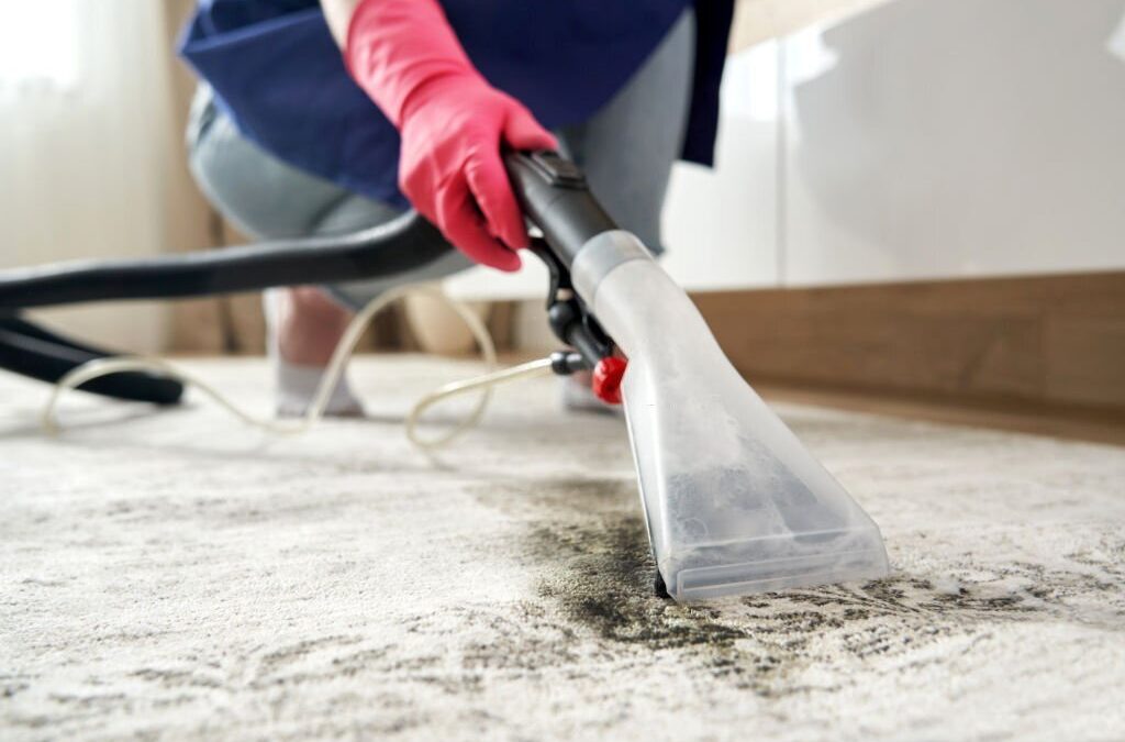 Services close up of a person cleaning carpet with vacuum cleaner